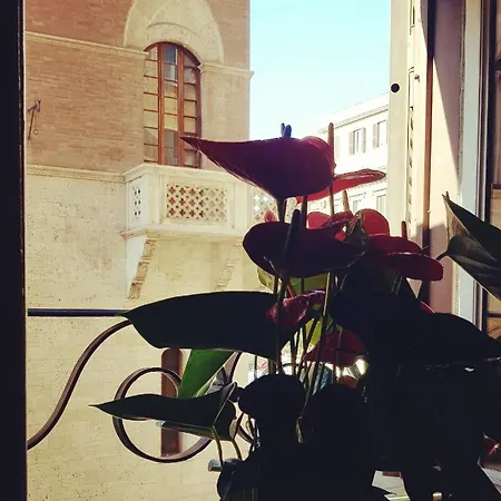 L'incanto Di روما
